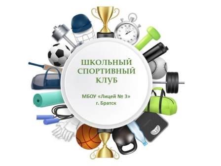 Методическое совещание учителей физической культуры Правобережного округа.